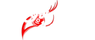 Le Foto di Iole Logo